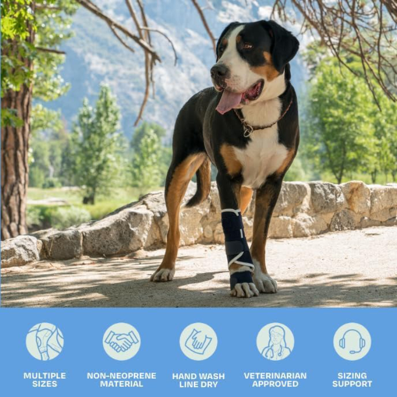 Carpal Hyperextension Dog Brac - Ankle Mobility Band incelemesi ve fiyatı
