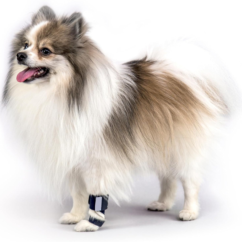 Carpal Hyperextension Dog Brac - Ankle Mobility Band incelemesi ve fiyatı